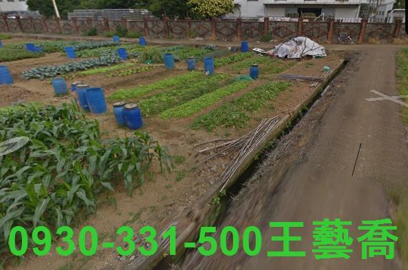 桃園農地-2