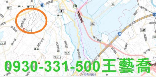 桃園大園建地-4